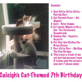 Caleigh's Cat CD