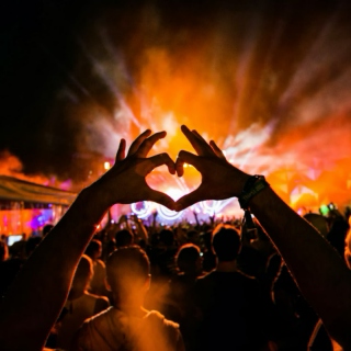 EDM Scarred Hearts