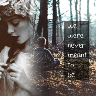 we were never meant to be