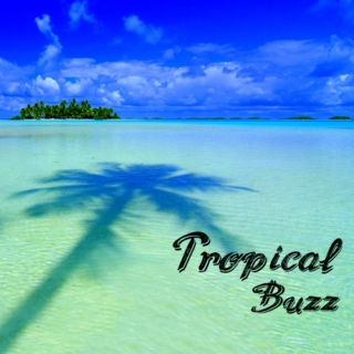 Tropical Buzz