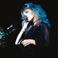 the magical delights of stevie nicks.