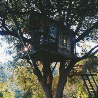 Treehouse Living