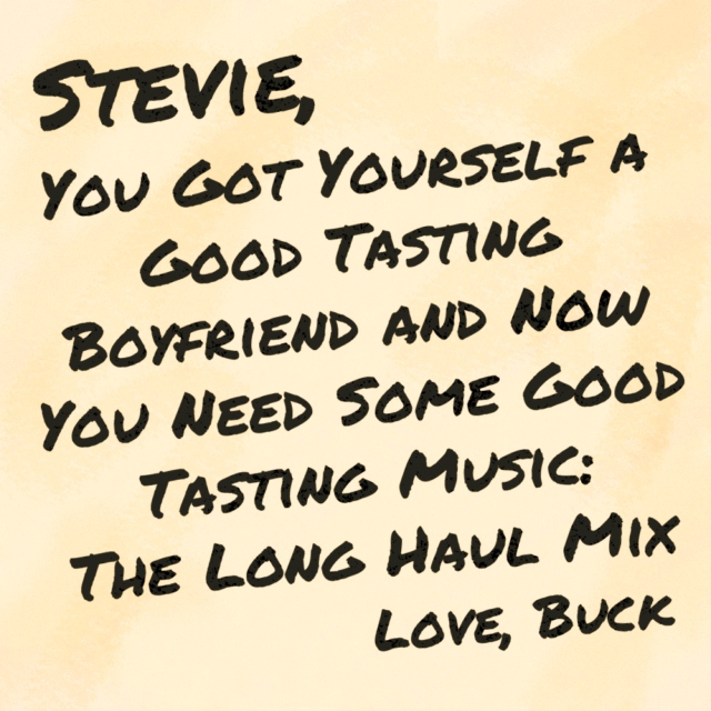 Stevie, You Got Yourself a Good Tasting Boyfriend and Now You Need Some Good Tasting Music: The Long Haul Mix