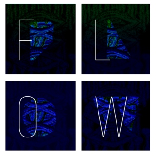 FLOW - Graphic Design