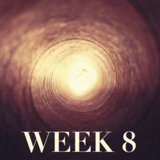 week eight