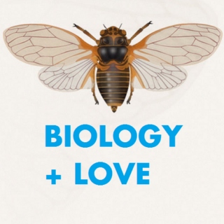 Biology + Love