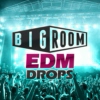 Big Room EDM Drops