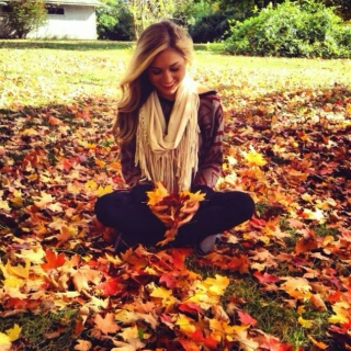 Fall leaves fall 