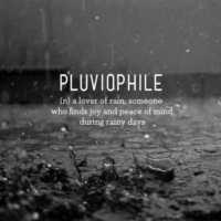 ☔ raindrops are the perfect lullaby ☔