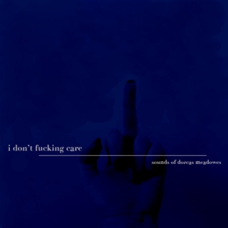 i don't fucking care