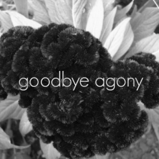 goodbye agony