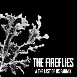 The Fireflies