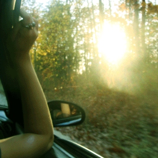 road trip daydreamers