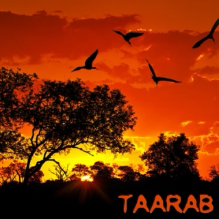Taarab