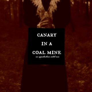 Canary in a Coal Mine