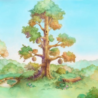 The Hundred Acre Wood