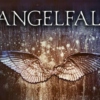 Angelfall Fanmix