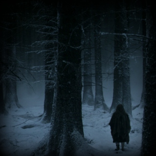 The Winter of the Great Dark Woodland
