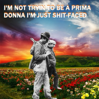 I'm Not Tryin to be a Prima Donna I'm Just Shit-Faced