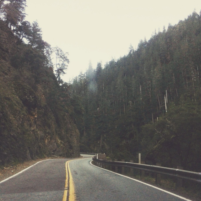 Misty Mountain Roads