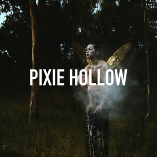 PIXIE HOLLOW