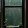 Rain on my bedroom window. 