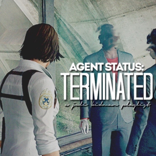 Agent Status: TERMINATED