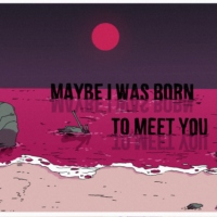 Maybe I was born to meet you