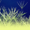 Green Grass of Home ST