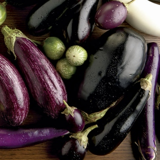 Eggplants Have the Most Poetic Purple