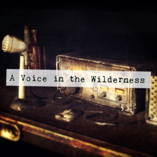 A Voice in the Wilderness: A Fallout Radio Fanmix