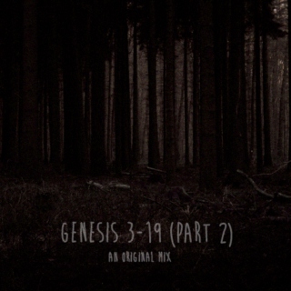 Genesis 3-19 (Pt. 2)