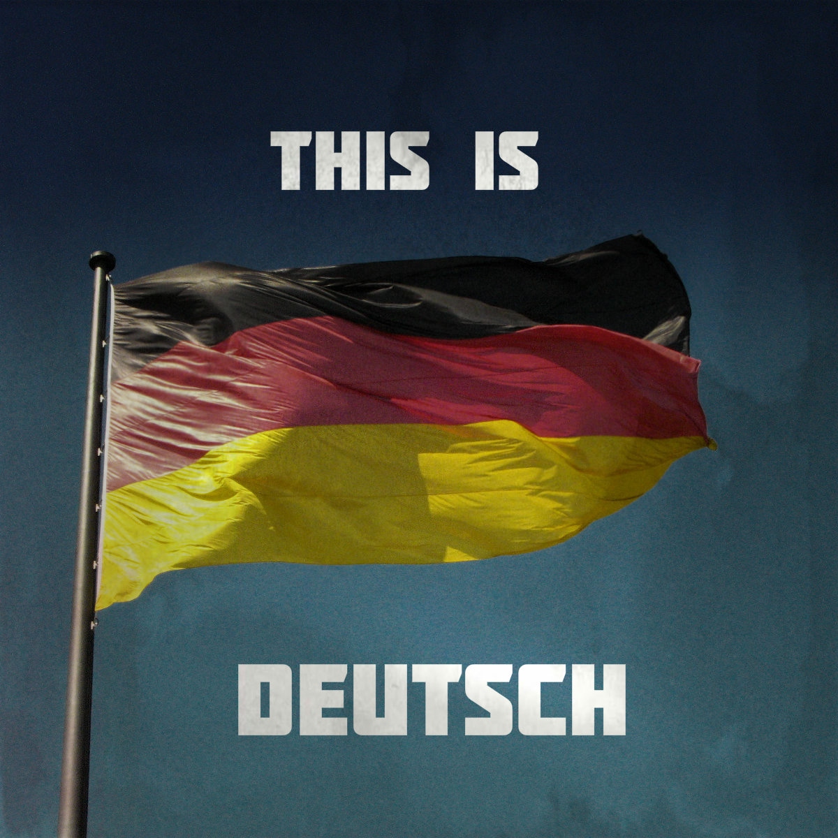 Шайса перевод. This is Deutsch обложка. Рамштайн this is Deutsch. NDH группы. This is Deutsch текст.