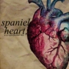 spaniel heart; a scripps/posner mix