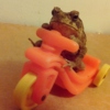 toad no