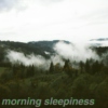 morning sleepiness