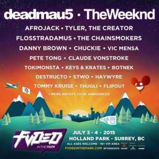FVDED in the park 2015