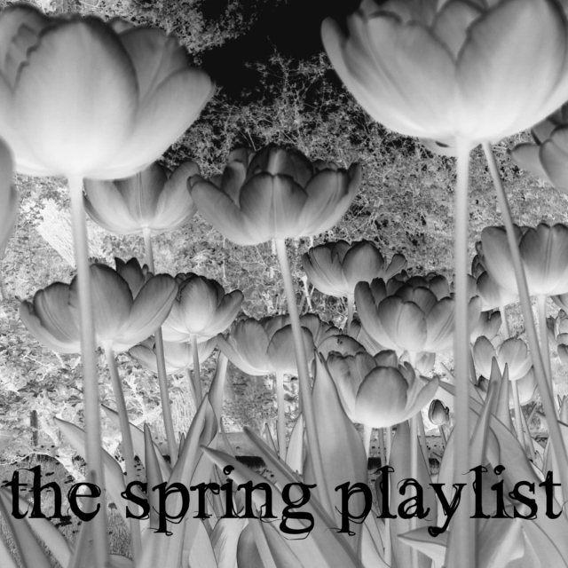 the spring playlist
