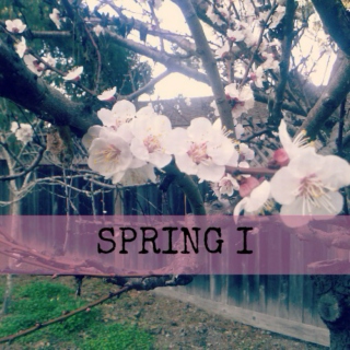 Spring I