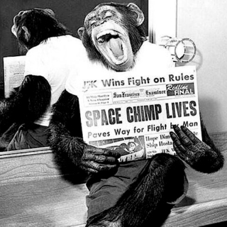 Space Chimp Lives!