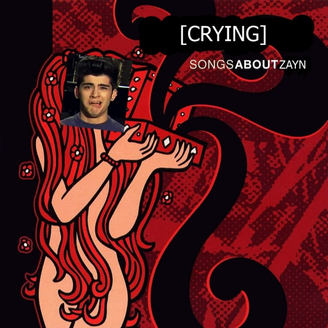 Songs About Zayn