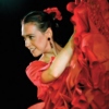Flamenco Dreams!