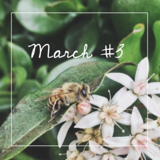 march #3