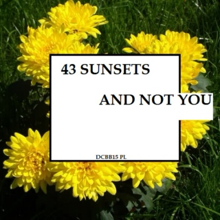Pod fortepianem to ja a.k.a dcbb2015: forty-three sunsets and not you
