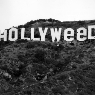 Hollyweed Party!