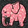 Pink Elephant Parade