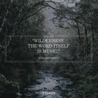-Wilderness-