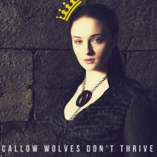 Callow Wolves Don't Thrive