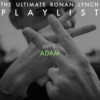 The Ultimate Ronan Lynch Playlist: part 6 (Adam)