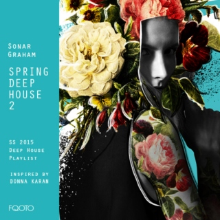 SS 2015 019 Spring Deep House 2